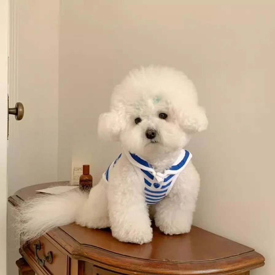 

Dog Clothes Summer Thin Small Dog Pet Cat Summer Vest