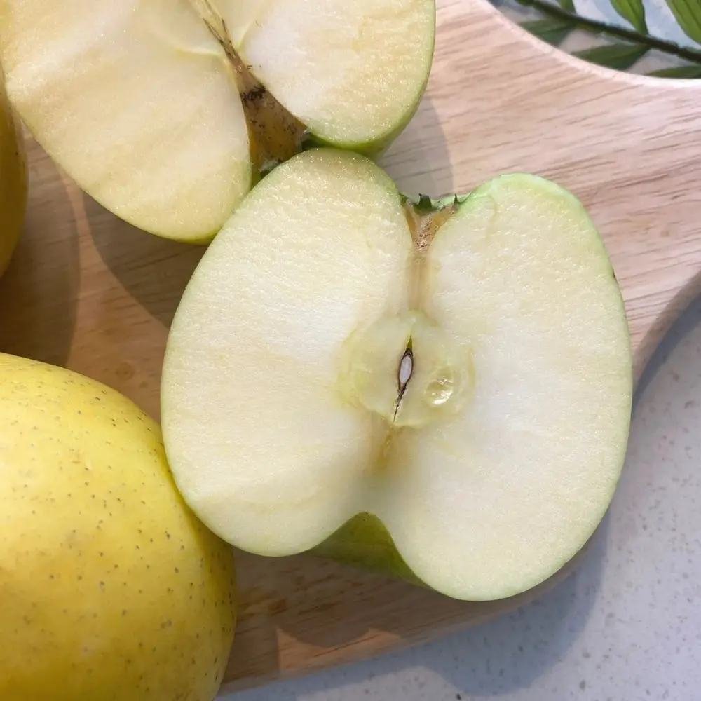 새콤달콤 시나노골드 스위트 사과 쥬스용 6kg