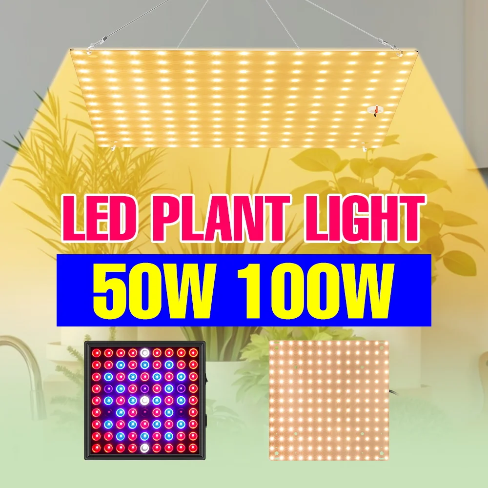 100W 50W LED Vollspektrum Indoor-Wachstumslampe Quantum-Platte Pflanzenlampe für Gewächshaus, Blumen, Sukkulenten, Topfpflanzen US/EU-Stecker