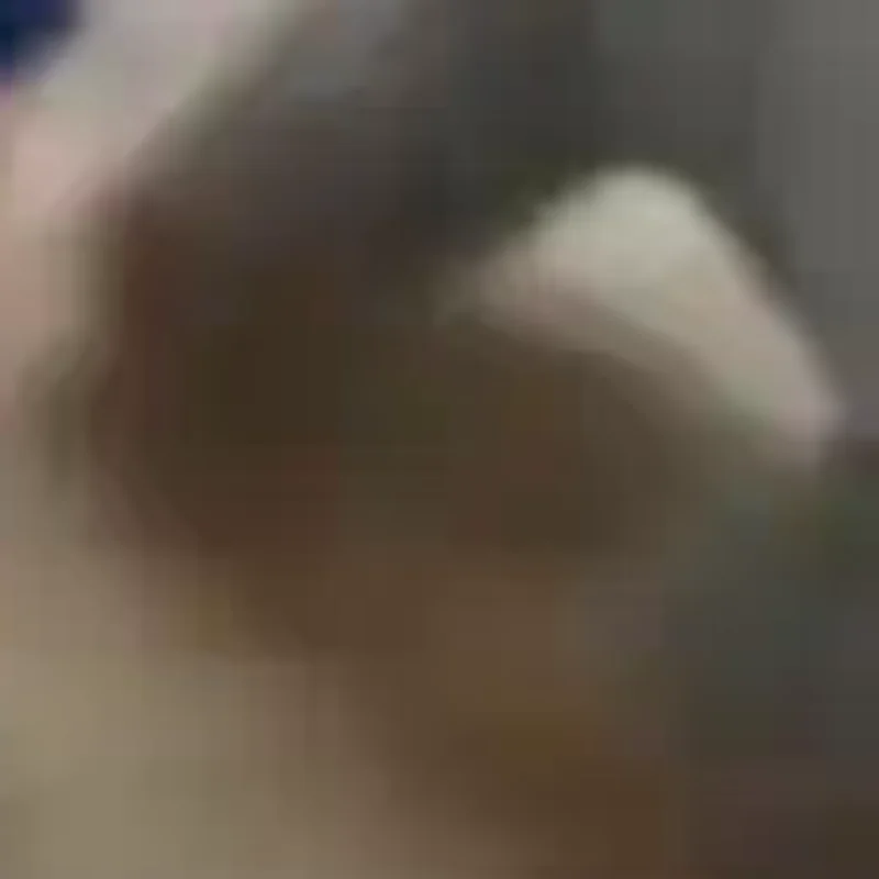 

Cute Baby Seal Doll Plush Toy Pendant Simulation Ocean Toy Souvenir Seal Pendant Gift Doll Bag Pendant