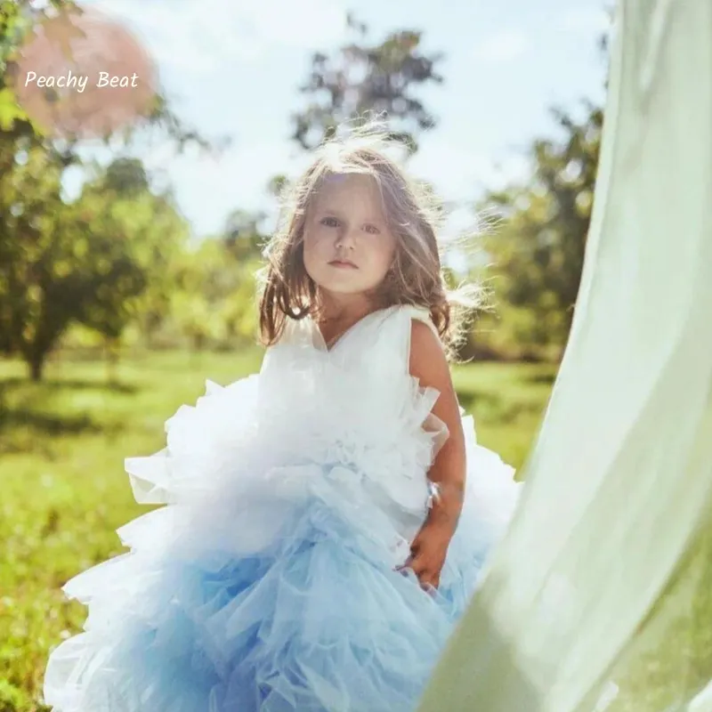 

Baby Girl Princess Blue Layered Dress Infant Child Kids Teens Elegnat Tulle Vestido Party Birthday Ball Gown Baby Clothes 1-14Y