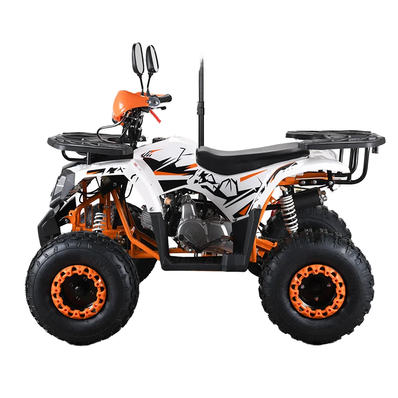 

110cc CE EPA ATV Adult 4-Wheeler Quad Bike with 4x2 Driving for Outdoor Adult Adventures