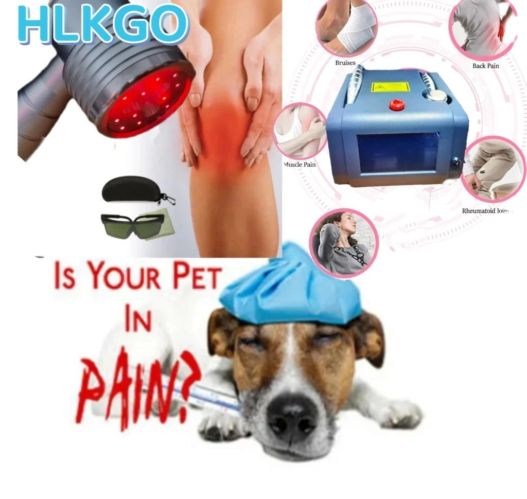 HLKGO Portable 808nm+650nm Laser Therapy Device for Pain Relief and Inflammation Reduction, Dual Probe LLLT Machine for Human