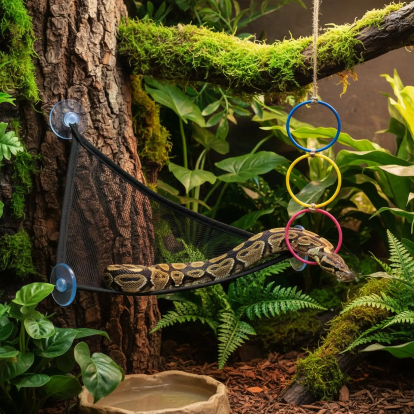 

Snake Climbing Hoop Space Saving Snake Hoop Ladder Terrarium Decor Lounger Comfortable Lounging Amphibian Lounger Bed