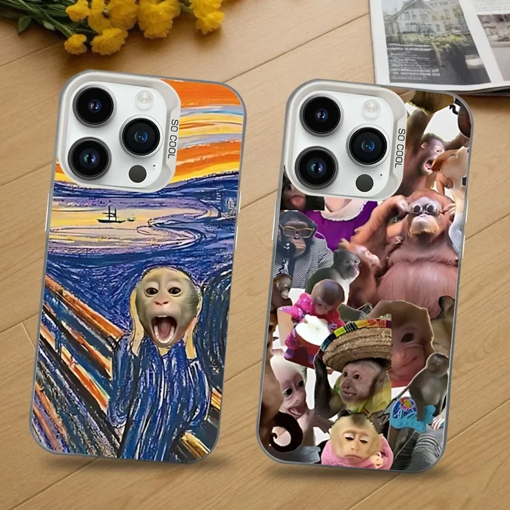 

Cute Funny Monkey Phone Case For iPhone 16,15,14,13,12,11,Mini,Pro,SE,MAX White Matte Shockproof Cover