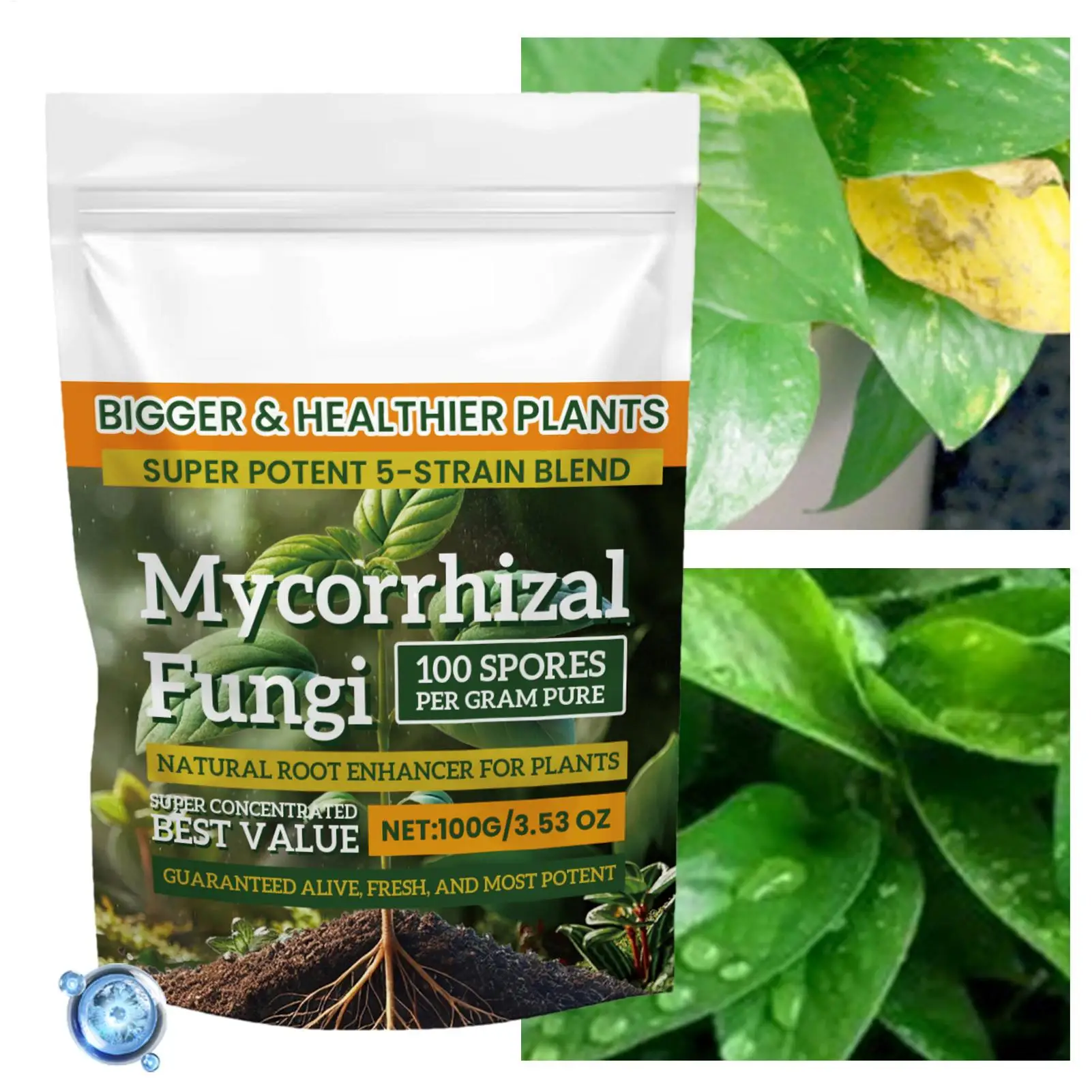 100 جرام مسحوق الأسمدة النباتية نمو النبات الأسمدة المغذية مكمل تأصيل آمن وفعال لزراعة التربة المائية #3