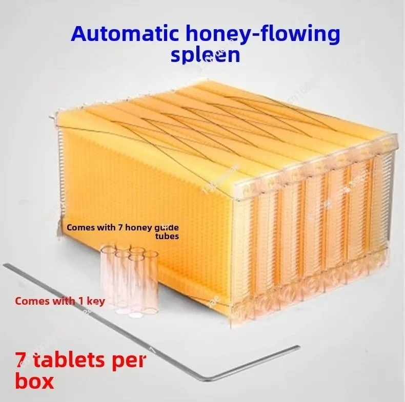 

Self Flowing Hive Frames, Automatic Extraction Boxes, Honey Spleen, Plastic Honey Hive Frames, Beehives