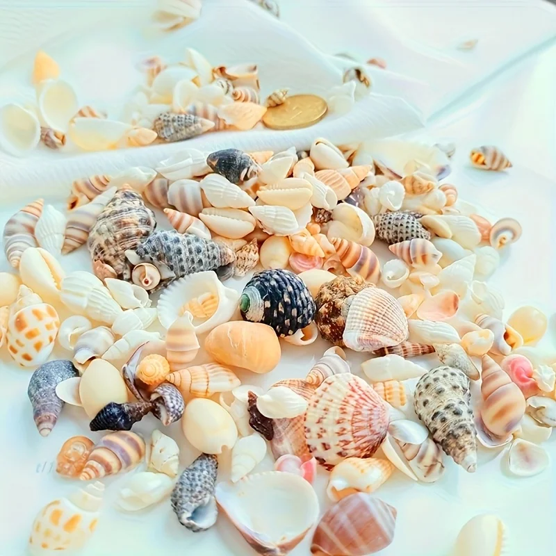 3-8 Cm Mixed Pack of 30 [with Natural Starfish] Conch Shell Starfish Aquarium Fish Tank Landscaping Decoration