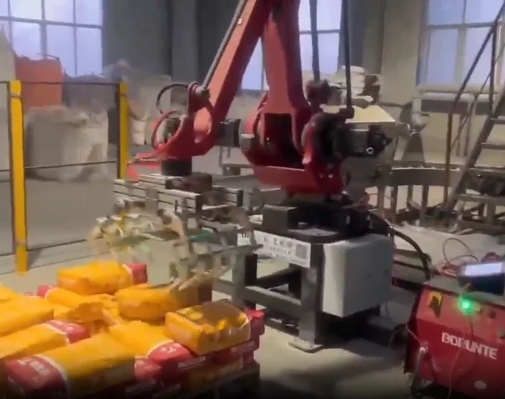 Newly Launched Four Axis Palletizing Robot Arm BRTIRPZ2480A Industrial Robot BORUNTE Robot Arm