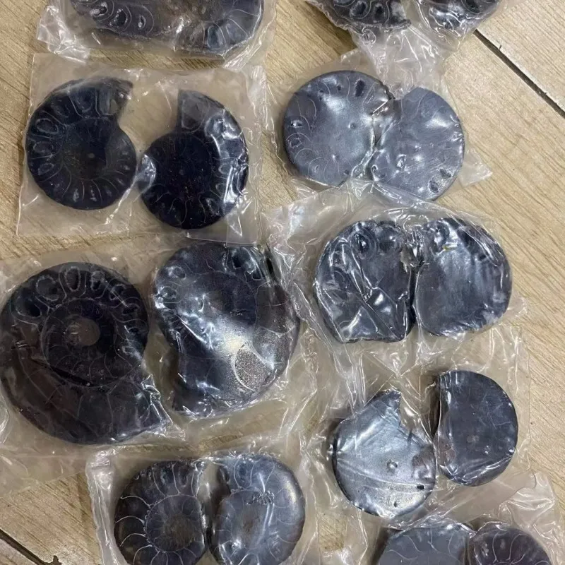 Amazing Ammonite Shell Reiki Crystal Healing Jewelry for Chakra Balancing And Energy Healing Purposes