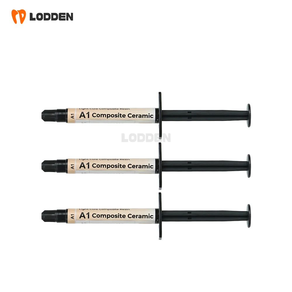 LODDEN light-cured polymer ceramic dental laboratory prosthesis restoration processing material polymer ceramic