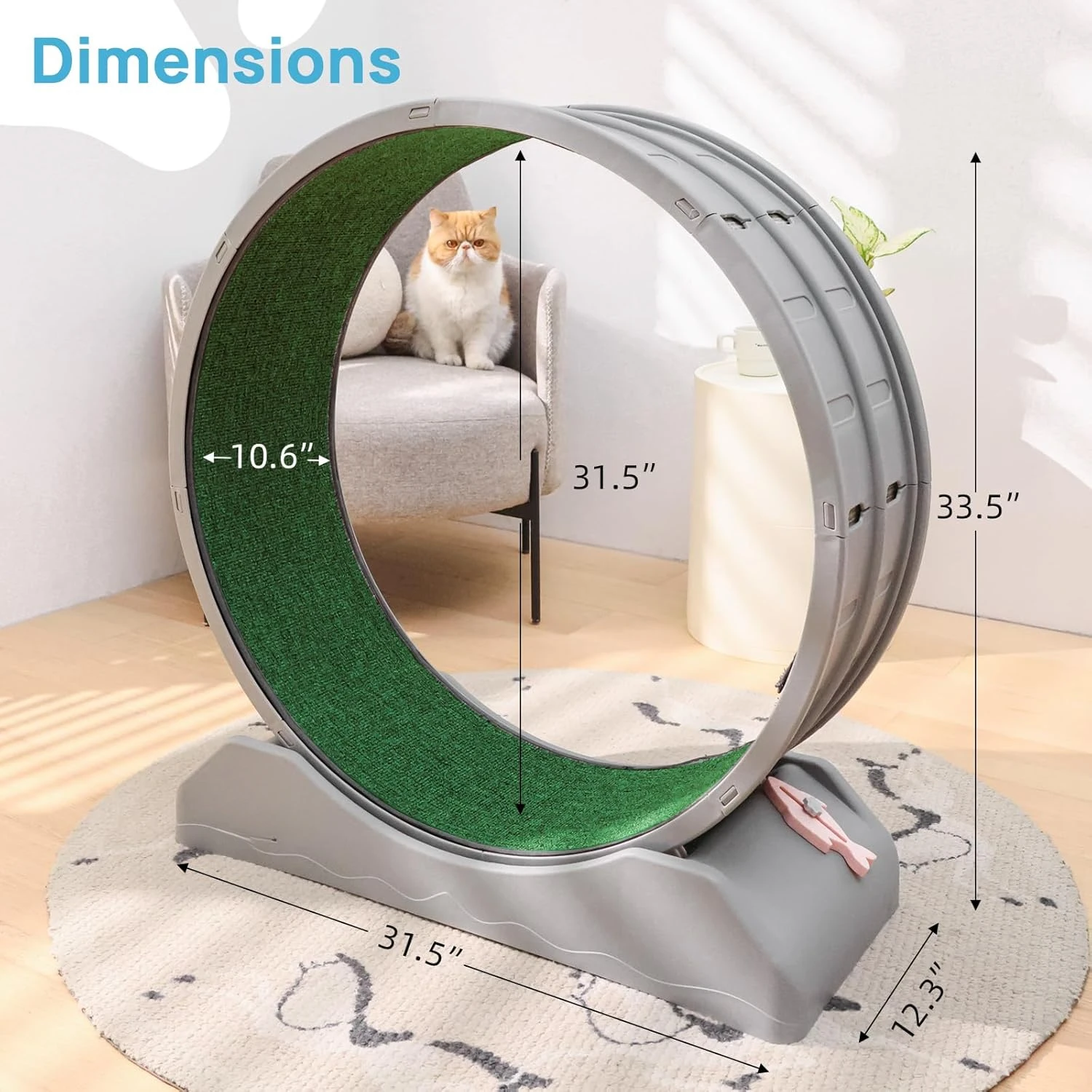 Cat Exercise Wheel,Cat Treadmill for Indoor Cats, Cat Running Wheel with Carpeted Runway, Easy to Install & Fitness