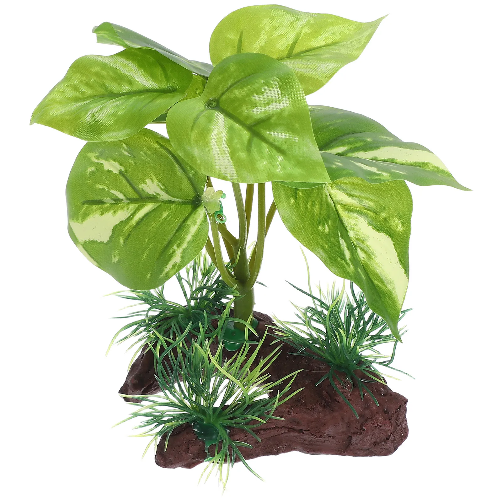 Tanaman Akuarium Plastik yang  - Aquarium Planted Tank Setup ulasan dan harga