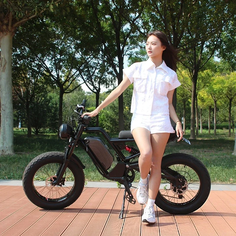 SXLL SXLL13Ah lithium battery 48V 750W/1500W rear hub motor, disc brake, electric bicycle, lightweight aluminum alloy, soft tail