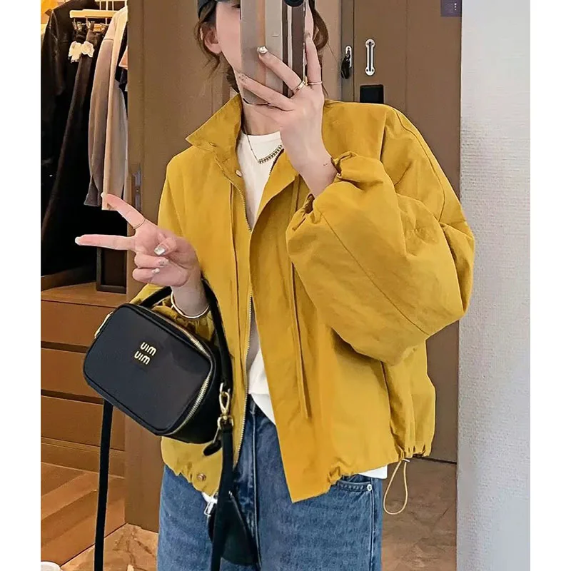 Stand-up Collar Windbreaker Women's Autumn Autumn 2026 New Coat Loose Short Outerwear Casual Overwear Ladies Top
