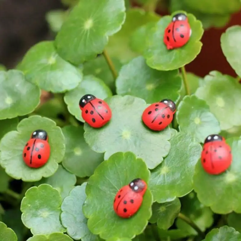 100Pcs Miniature Coccinella Septempunctata Resin Crafts DIY Little Garden Decor