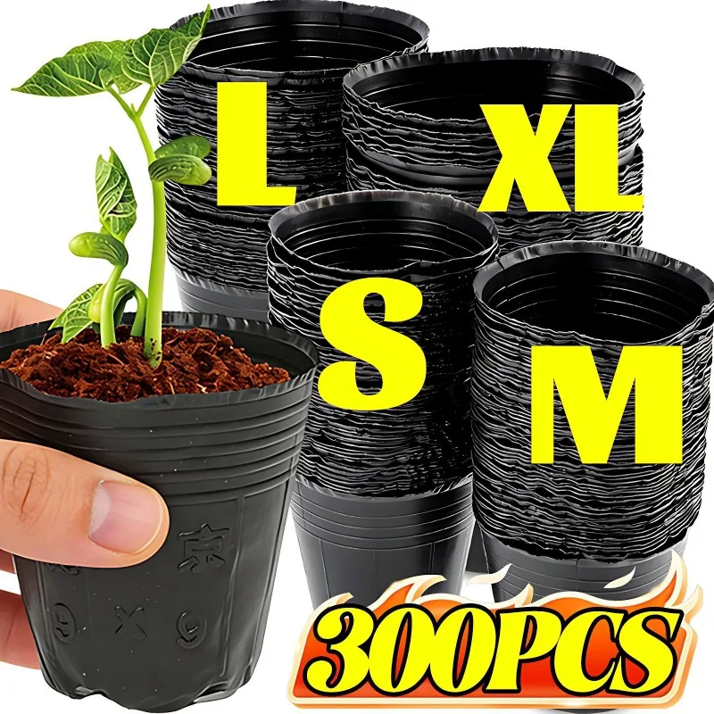 50/300Pcs Black See…