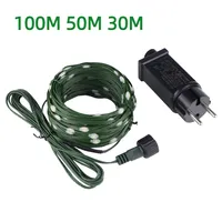 110v 220v to 24V Green Wire Leather LED String Light Waterproof Outdoor Garland Festival Decoration Garden Xmas Lights 10M-100M
