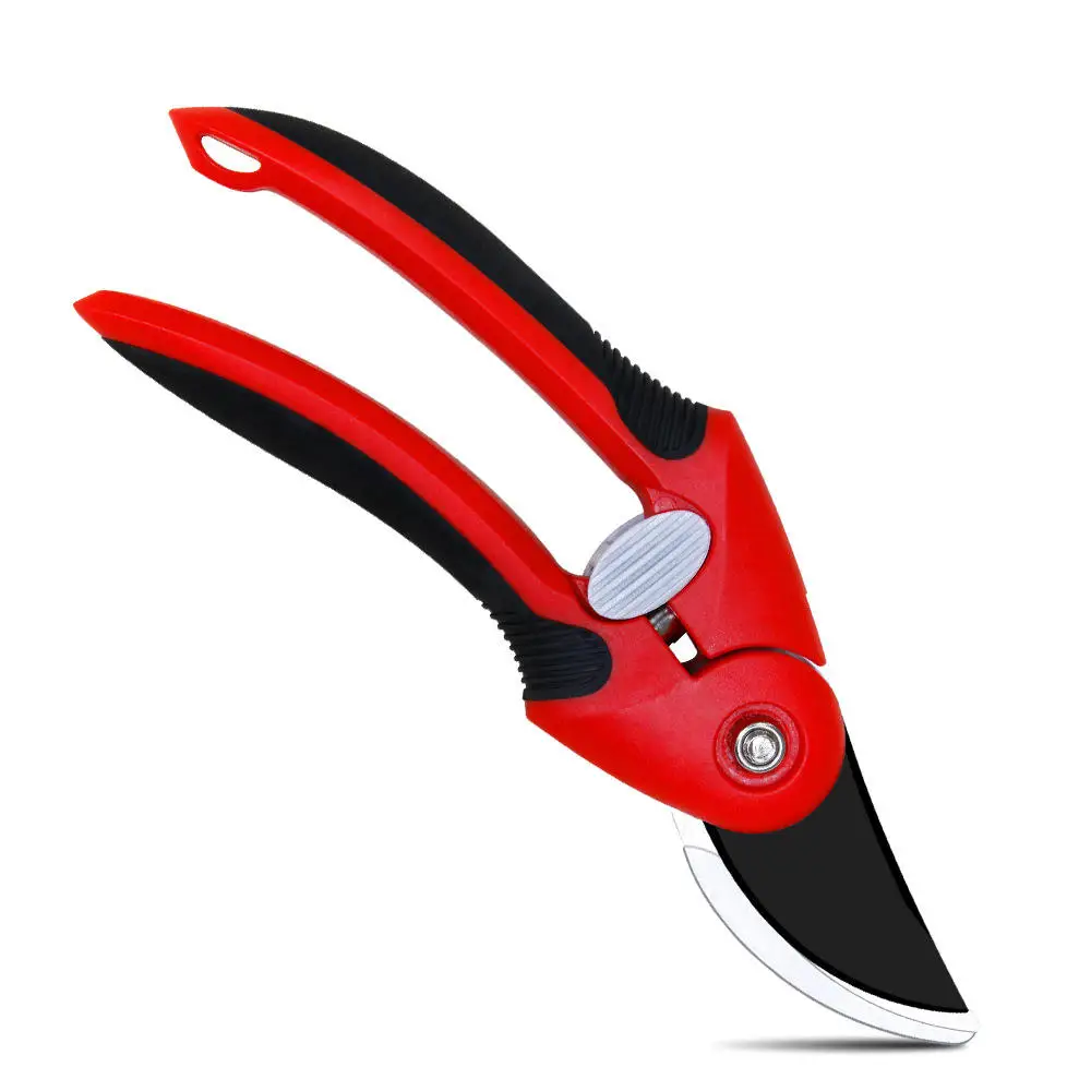 Stainless Steel Sci… - image