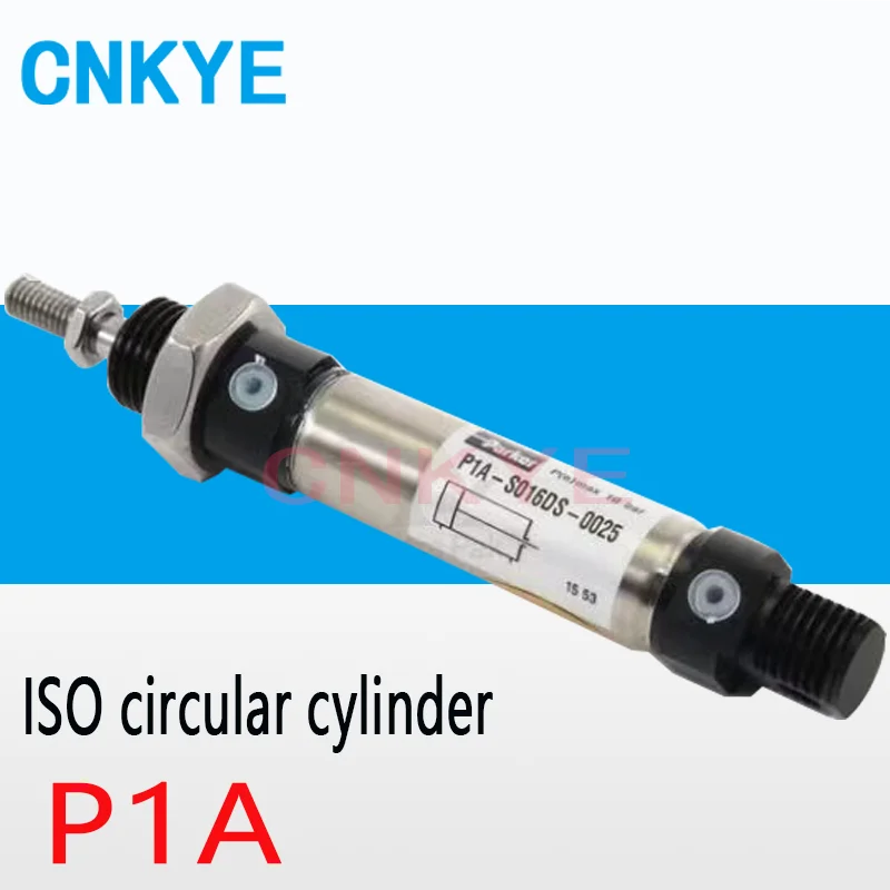 

ISO circular cylinder Parker P1A-S025DS-0100 P1A-S016DS-0025-0040-0050-0080-0100-0125-0150-0160-0200 P1A-S020DS-S025DS-0050-0100