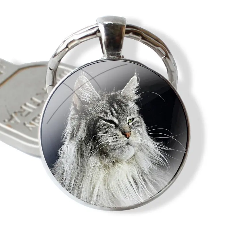 Glass Metal Pendant Key Chain Classic Men Women Key Ring Accessories Jewelry Gifts pet maine coon cat