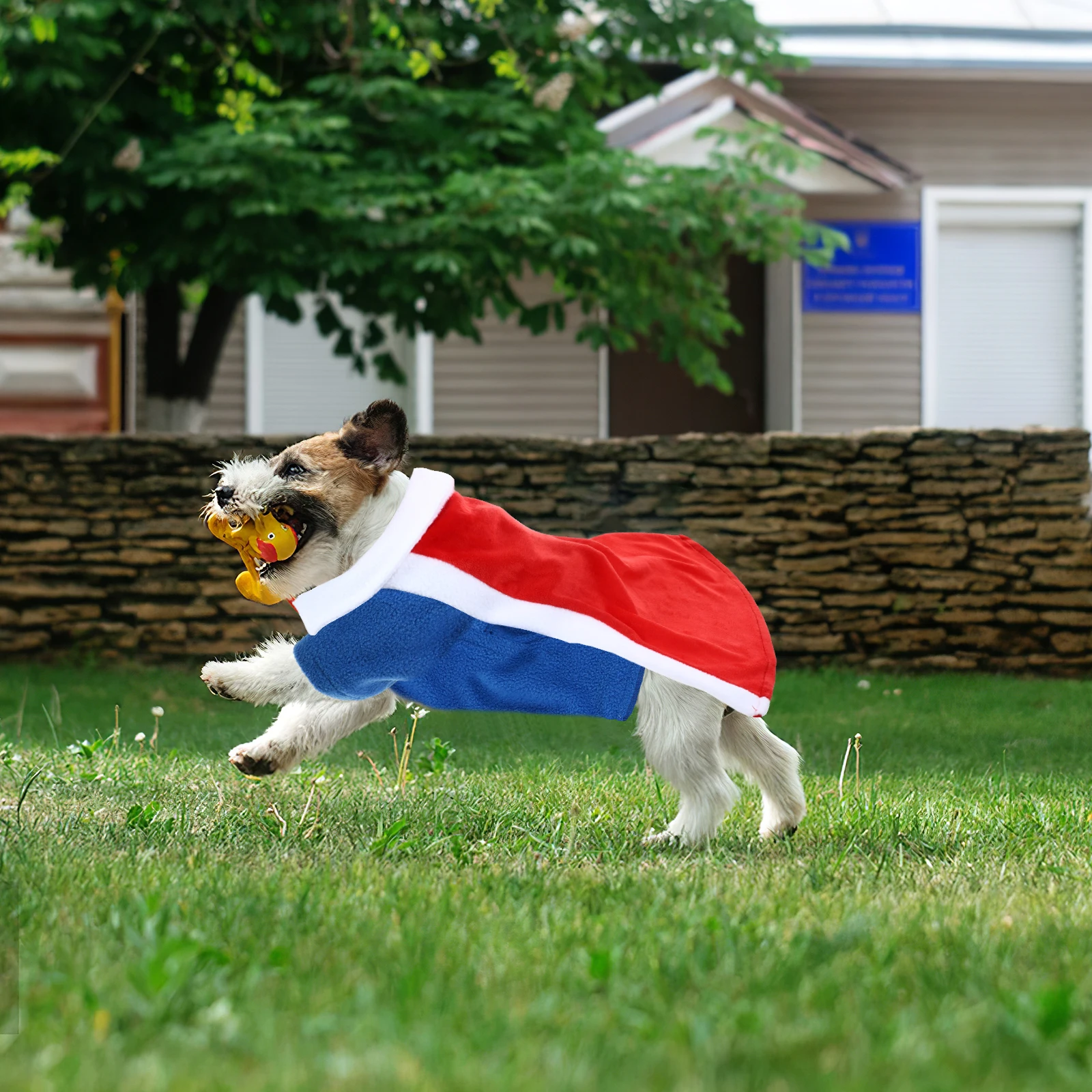 

Clothes for Pets Cosplay Costume Clothing Dog Costumes Funny Puppy Outfits Dress ​​clothes Coat