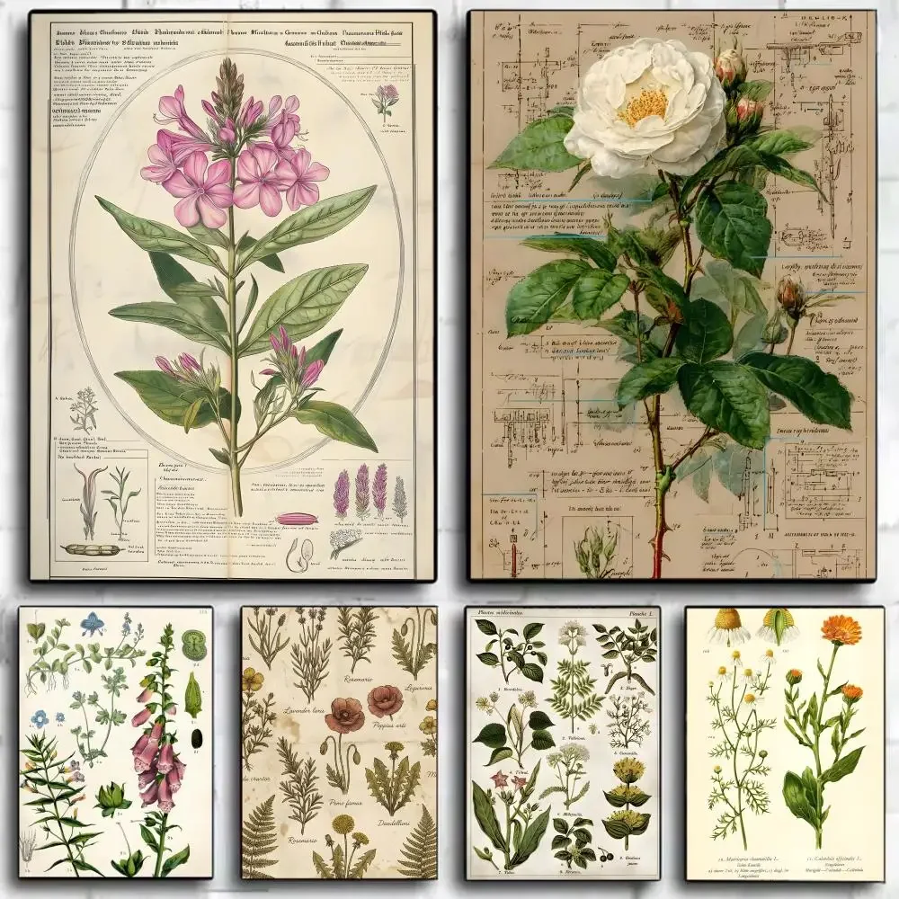 p-Plant Flower Study Poster Wall Art Print Decorative Mural Home Decor Gift Unframed