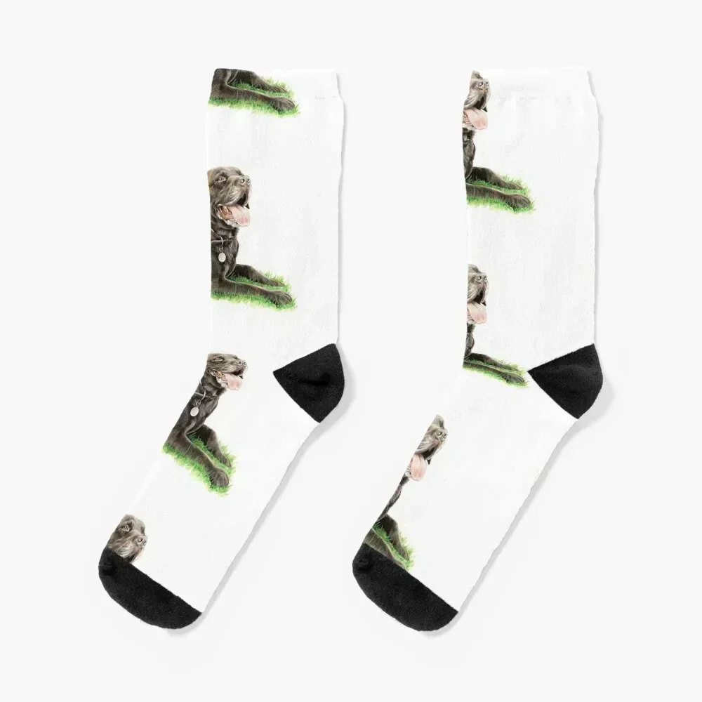 

0180 Socks new in's essential funny gift crazy Socks For Men Women's