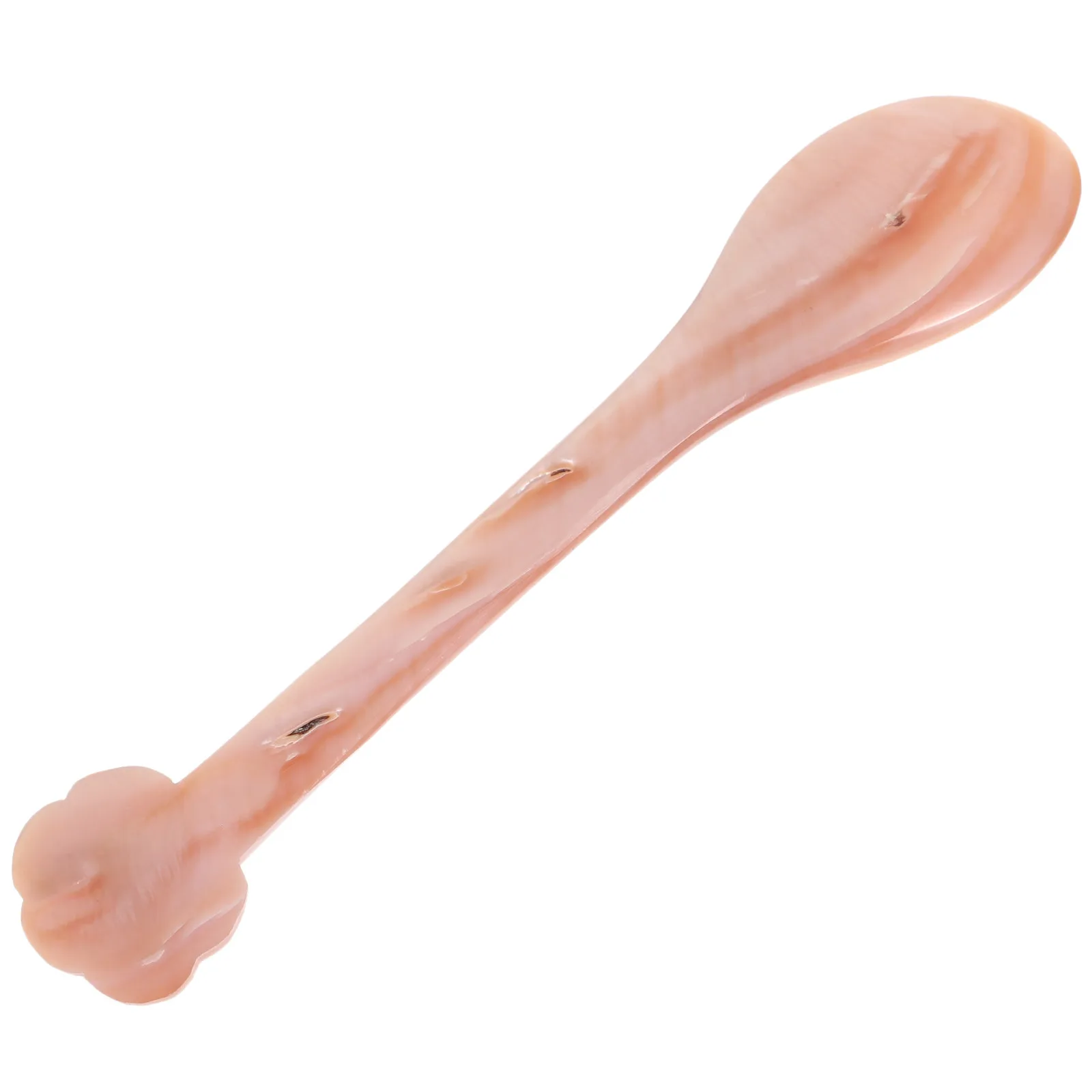 Cuchara de Postre de Concha Natural, Elegante Servidor de Caviar, Prensa de Café, Cucharita para Helado, Zumo, Sopa, Papilla, Aperitivos, Cocina
