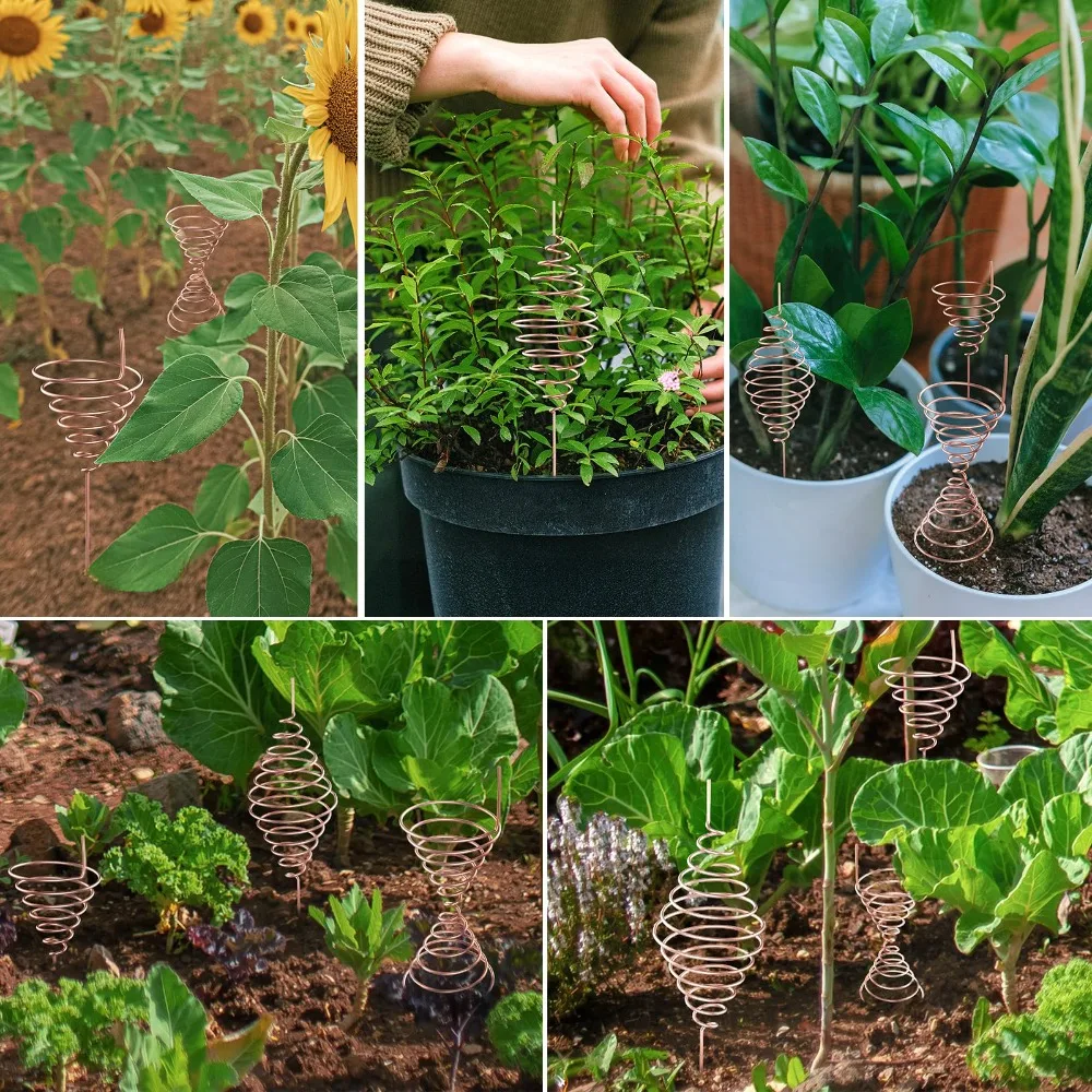 

Enhance Plant Growth and Vitality Fibonacci Coil Winding Jig Cone Spiral Winding Gardening Antenna Making Tool White Two Sizes