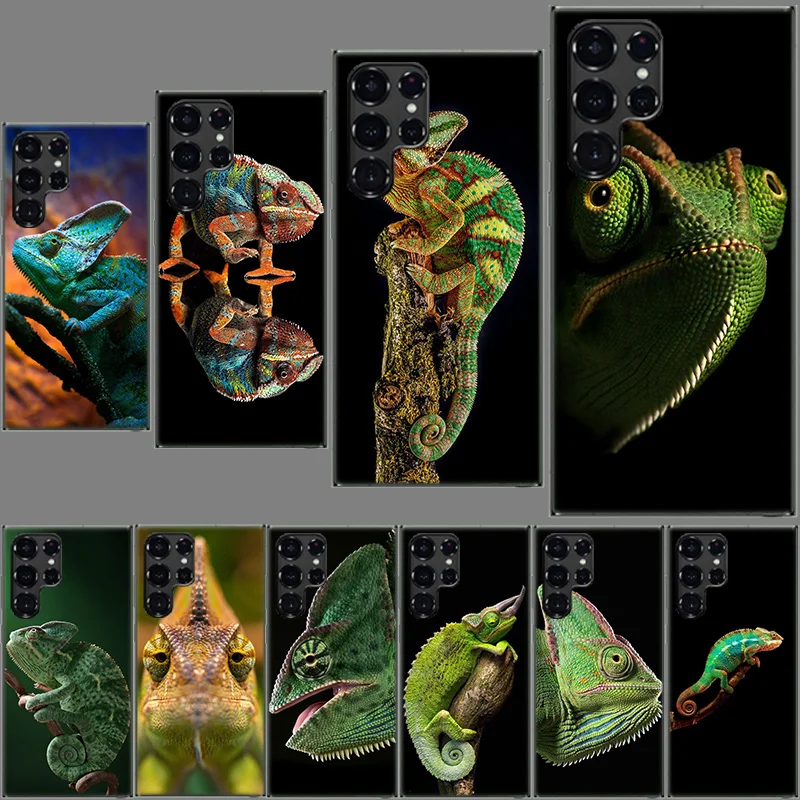 Chameleon Funny Wildlife Phone Case For Samsung Galaxy S24 S23 S21 S20 FE S22 S26 Ultra S25 Edge S10 Plus Cover Clear TPU Capa S