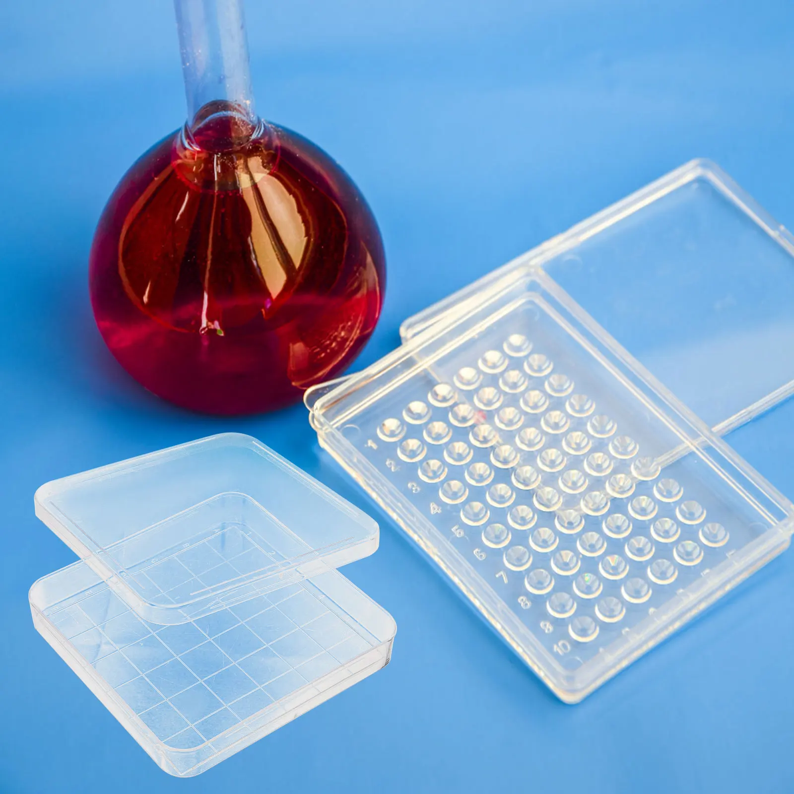

10 pcs Disposable Petri Dish Clear Plastic Laboratory Culture Dishes with Lids for Science School Projects Transparent
