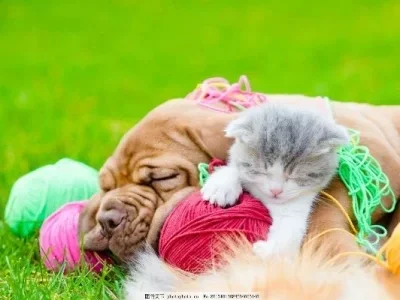 

Lipo Battery Safety Bag Portable Explosion-proof Fireproof Storage Bag With Safe Guard 215*145*165mm Size For RC Drone Batteries