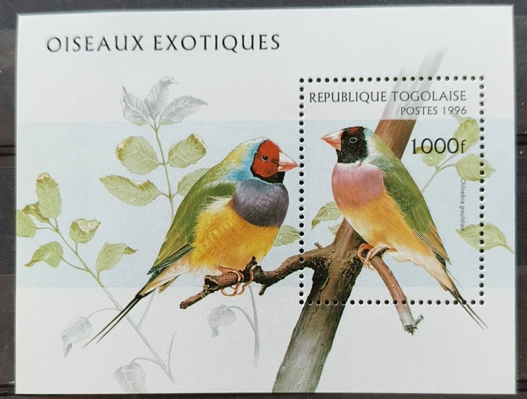 Togo-Poststempel, Jahr 1996, gefährdete Vögel, farbenfroher literarischer Vogel, 1 neuer, postfrisch (MNH) Briefmarkenmaterial für Scrapbooking – Detail 1