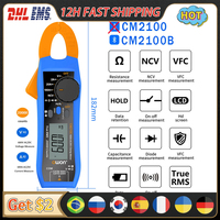 OWON CM2100 CM2100B Digital Multimeter High Precision AC/DC Current Clamp Recorder,True RMS VFC Diode Portable Multimeter