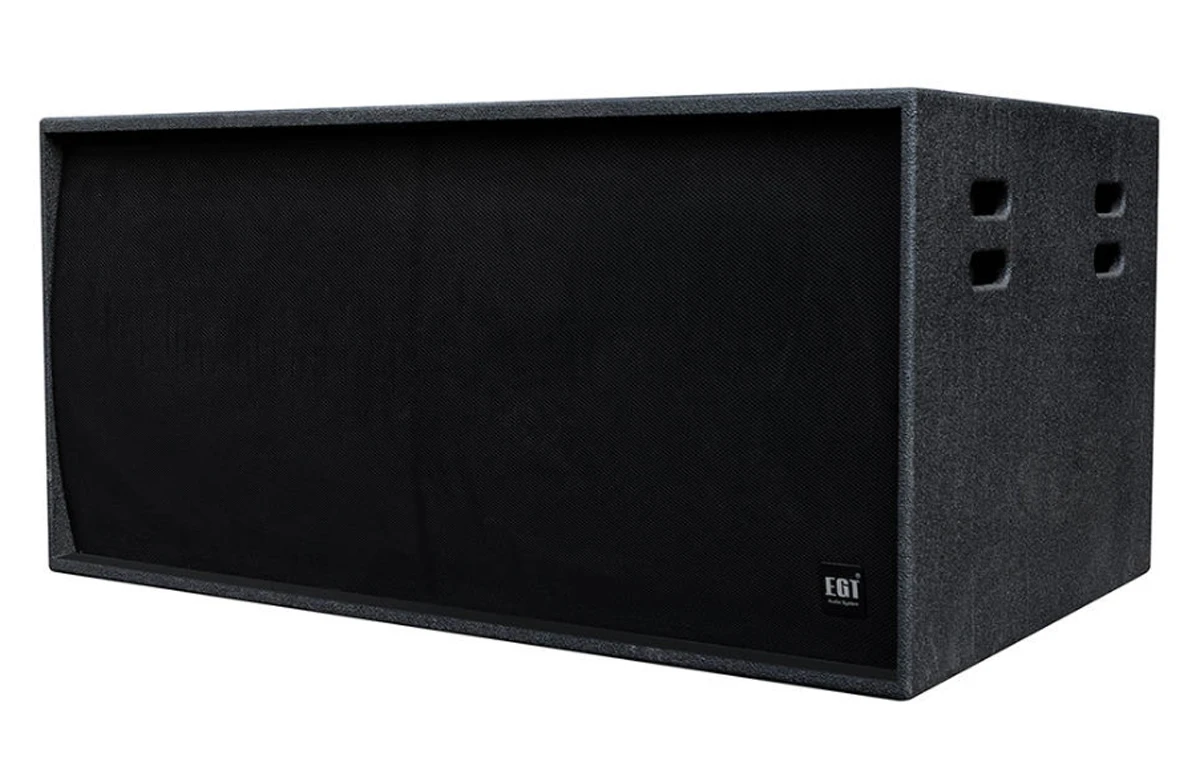 WPL210 Dual 10 Inch LLD PE Passive Line Array Speaker Stable Sound for Outdoor Stage Event