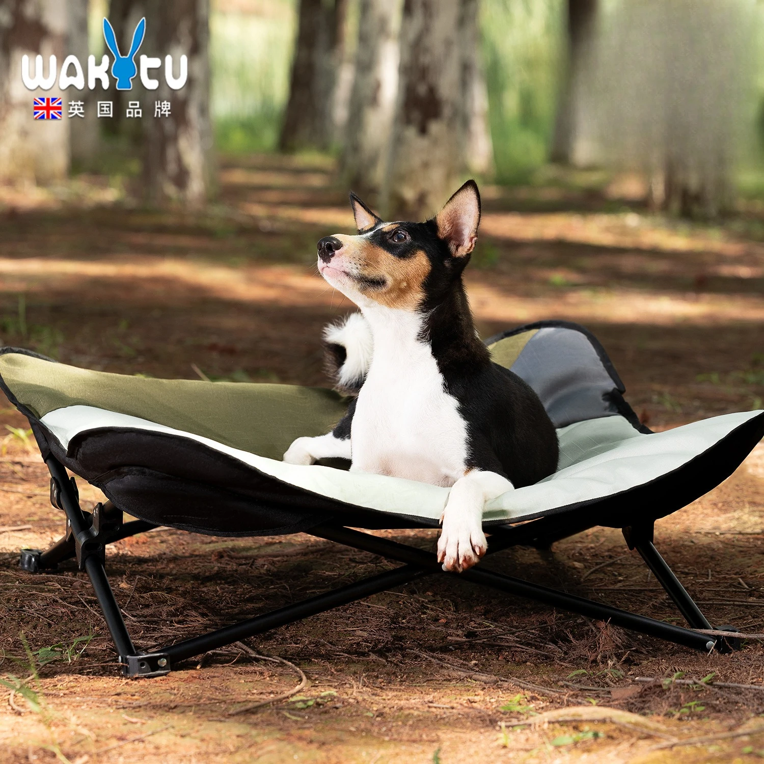 

Wakytu Outdoor Dog Foldable Camp Bed Pet Portable Wear-resistant Outdoor Kennel Off The Ground Leisure Dog Beds Mats