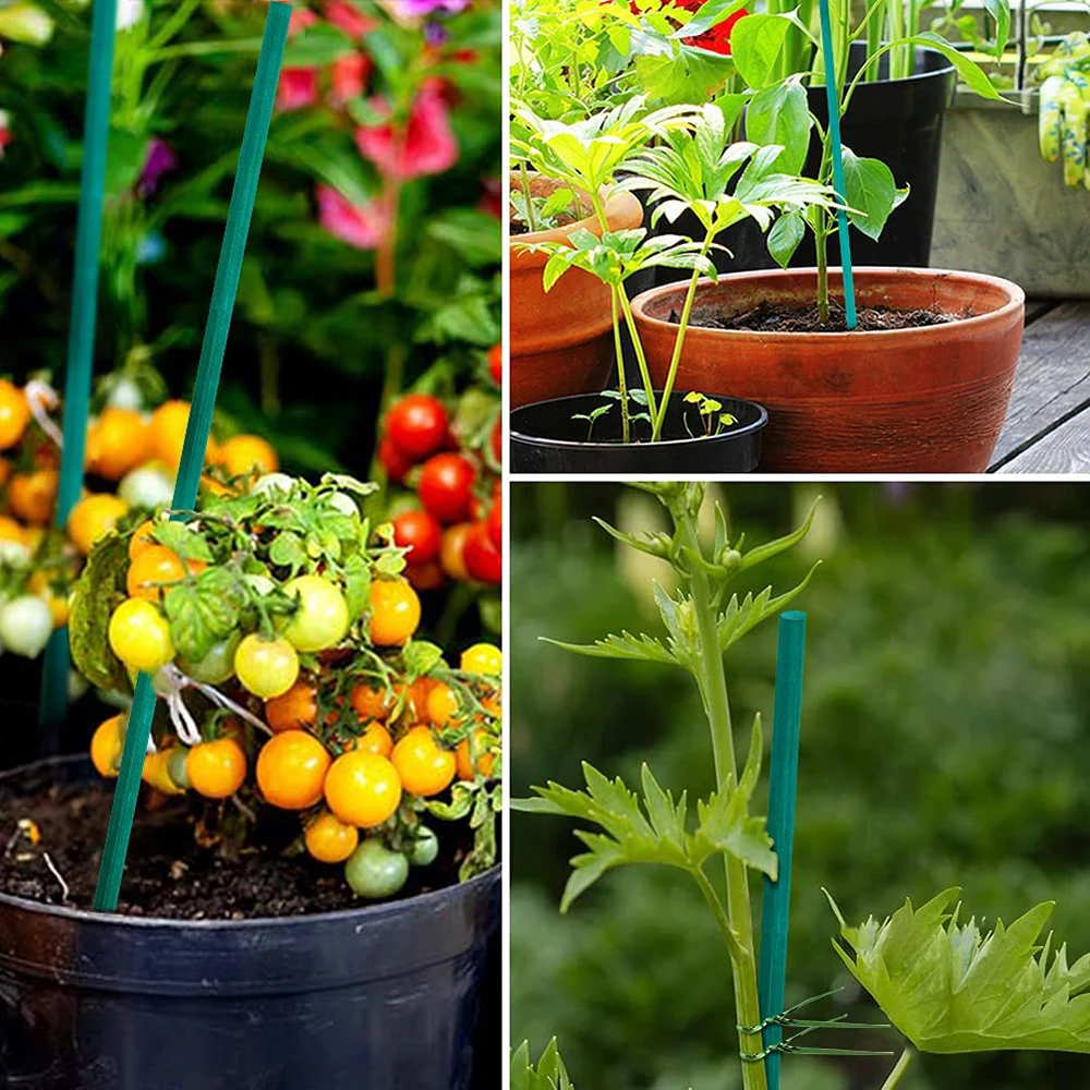 Palos verdes de bambú para 20 piezas, soporte para plantas, palitos para flores, varilla para orquídeas, palitos para plantas para apoyar plantas