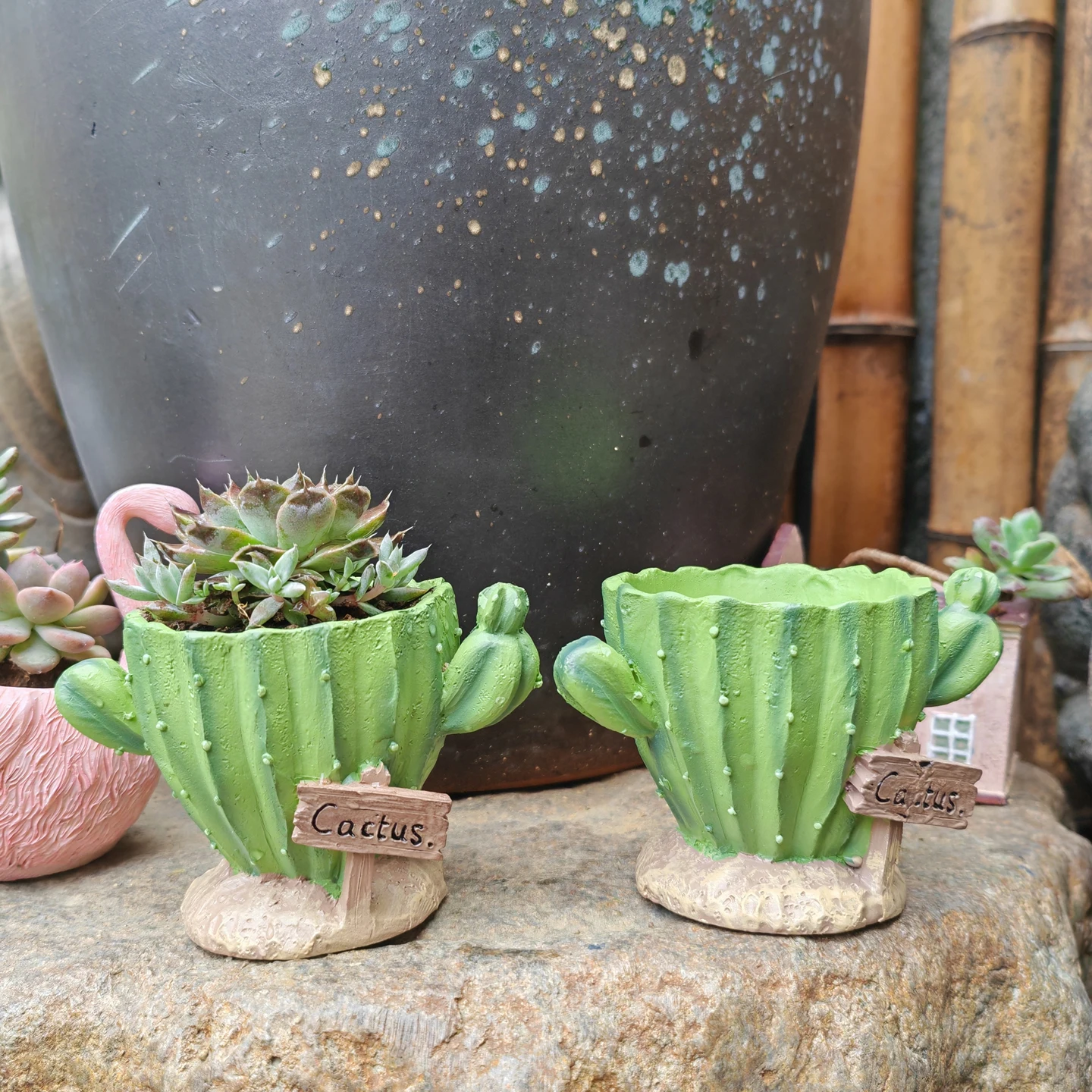 Doniczka na kaktusy, urocza mi – Cactus Mix Pot recenzja i cena