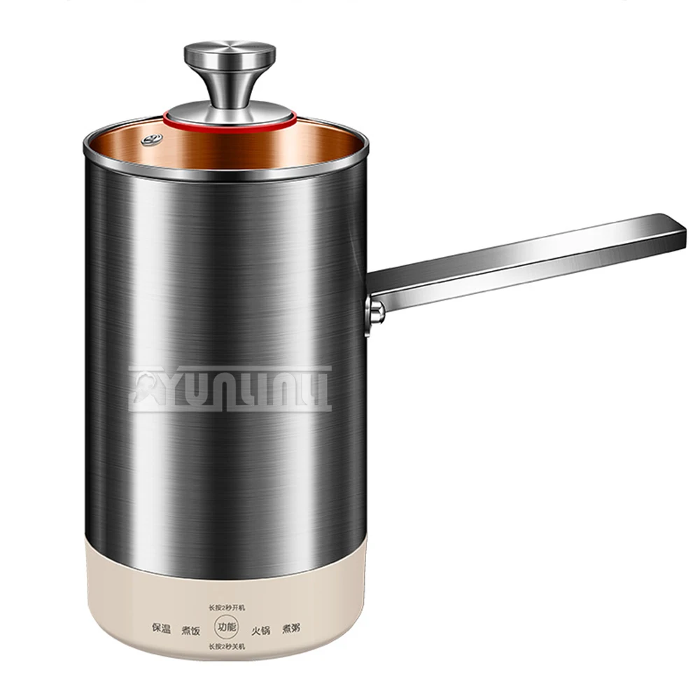 304 Stainless Steel Electric Oil Fryer Multifunctional French Fries Chicken Fryer Cooking Pot