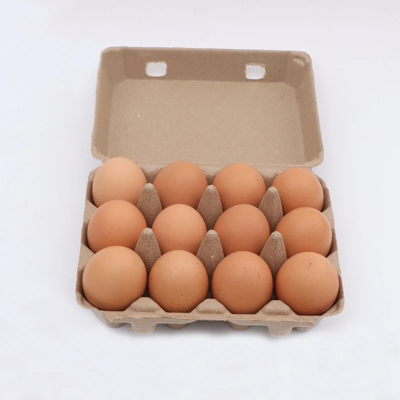 6pack Egg Carton Paper Pulp Container Egg Box Storage Boxes Bulk Holders Chicken Egg Trays Fridge Ganizers Packaging Solutions