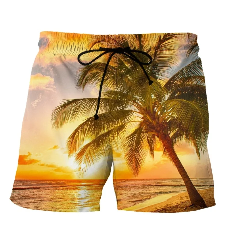 Palme tropicali mare tramonto pantaloncini da spiaggia stampa 3d vacanza Quick Dry Surf Board Shorts uomo bambini Streetwear pantaloni corti estivi