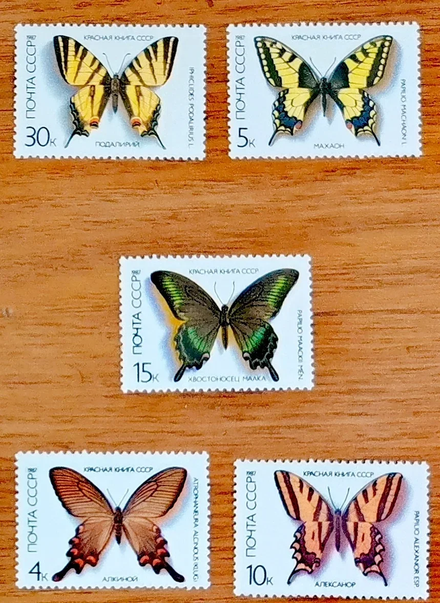 5Pcs/Set New Ussr C…