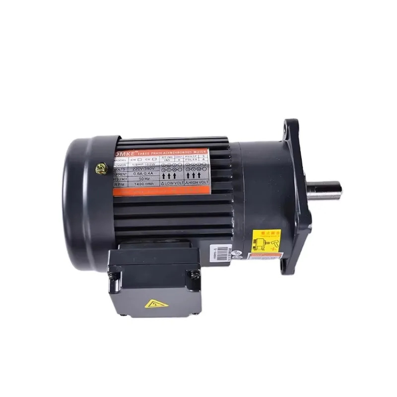 50HZ 60Hz 220V 100W AC PRECISION GEAR MOTOR SINGLE PHASE