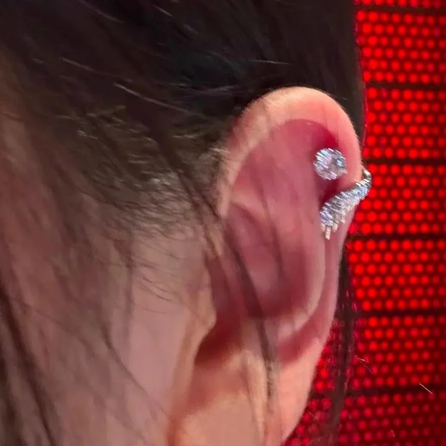 1 Pair Silver Color Wing Stainless Steel Ear Bone Nail for Women New Fashion Full of Rhinestone Earrings Accessories for Ear