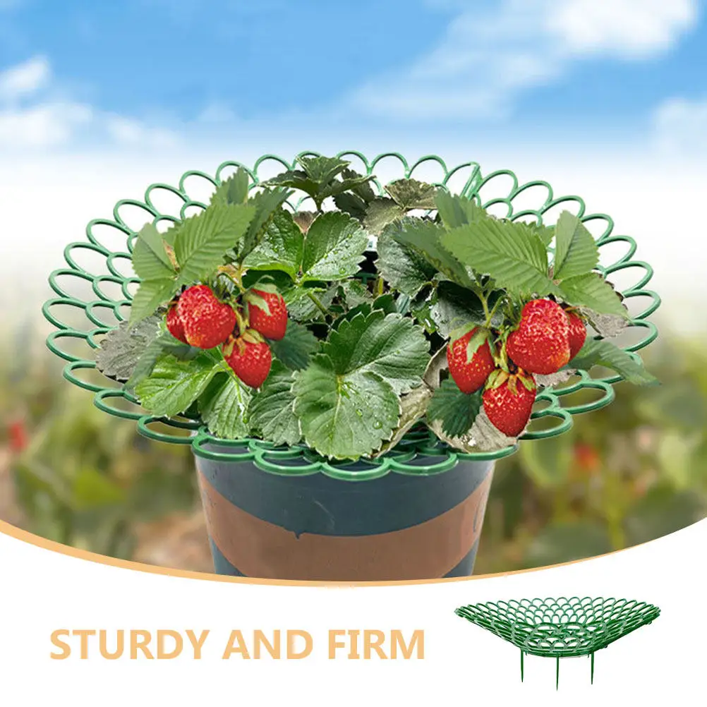 5Pcs Strawberry Support Rack Space Efficient Plant Growth Support Stand for Limited Areas Strong Strawberry Cage Planting Racks