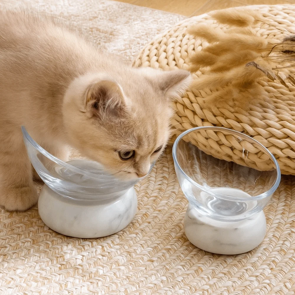 

Detachable Cat Bowl Slanted Mouth Non-slip Dog Food Feeding Basin Large Capacity Prevent Tipping Pet Drinking Feeder