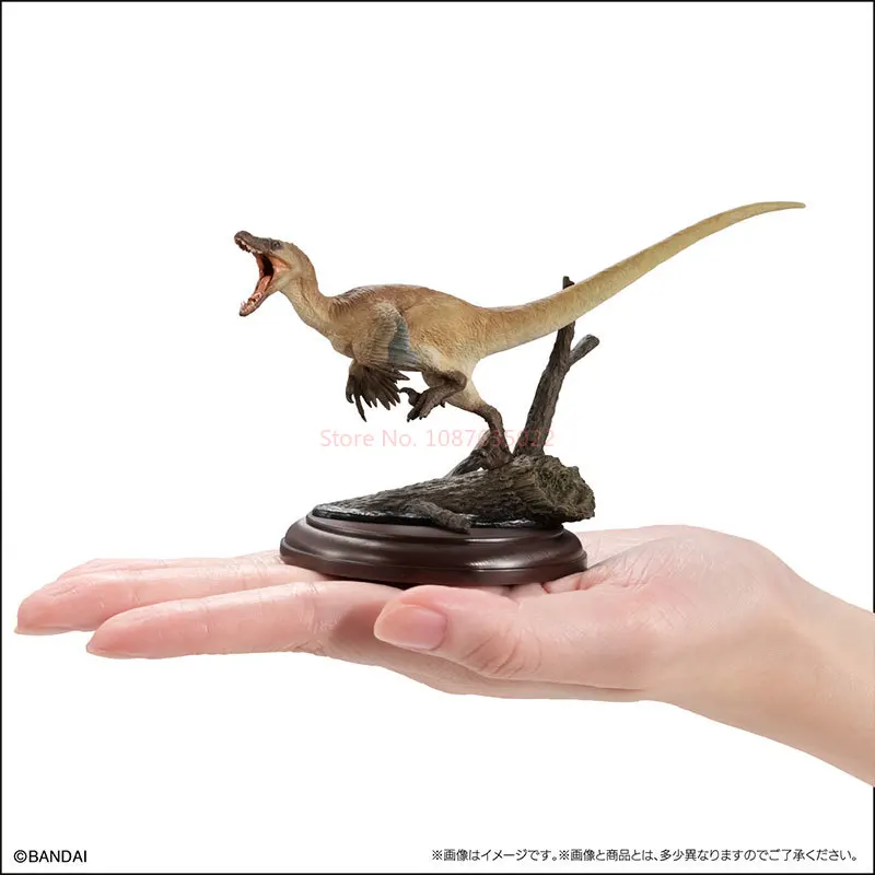 Oryginalna Bandai Gashapon duża mapa biologiczna figurki dinozaur tyranozaur zabawki symulacyjne Decor figurka dzieci prezent festiwalowy