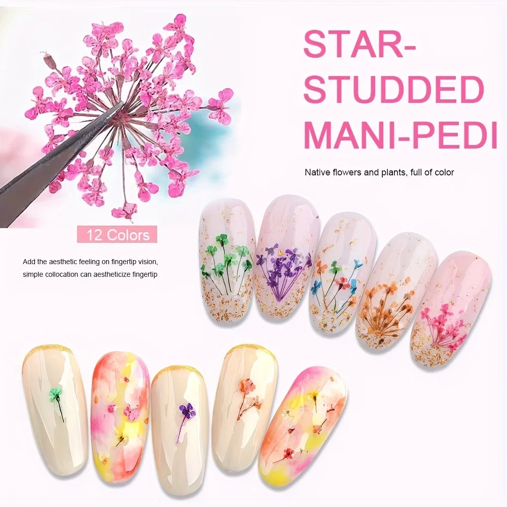 12 Colors Dried Flowers for Nail Art Mini Real Natural Flowers 3D Applique Nail Decoration