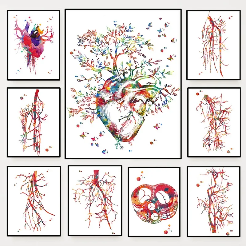 Cardiology Vascular Sys Poster  Angiogram Anatomy Angiology Medical Surgery Canvas Painting Wall Art Clinic Home Decor